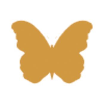 png_h6kkb png_h6kkb